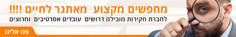 צוות מידע עסקי - תמונה