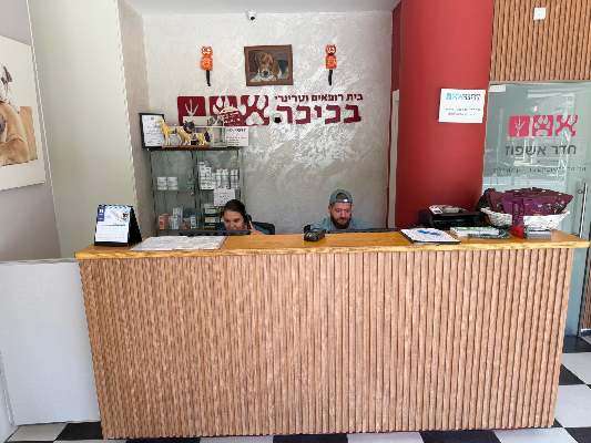 בית חולים וטרינרי בכיכר - תמונה