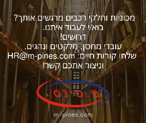 מ.פינס - תמונה