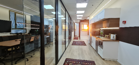 גורן-כידון - תמונה