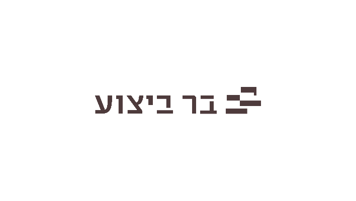בר ביצוע עבודות בניה בע"מ - תמונה