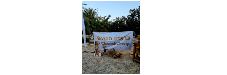 צ'יטה שליחויות - תמונה